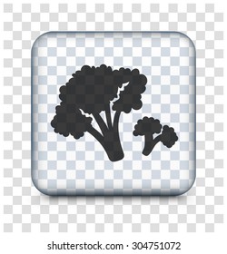 Broccoli on Transparent Square Button