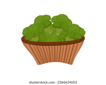 broccoli on a white background.