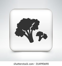 Broccoli on White Square Button