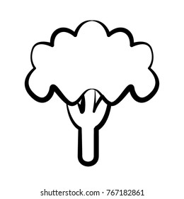 Broccoli outline icon