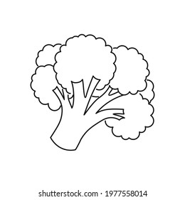 Broccoli outline icon. Simple line vegetable sign.