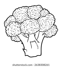 Broccoli, outline vector illustration isolated on white background, eps10