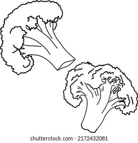 Broccoli Outline Vector. Vegetables Color Silhouette. Vegetarian