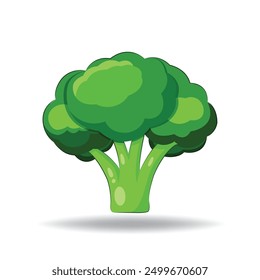 Broccoli Packed with vitamins and fiber, broccoli is a versatile vegetable that can be enjoyed steamed, roasted, or raw, adding a healthy boost to any meal.