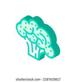Broccoli pflanzliche isometrische Icon Vektorgrafik. Broccoli Pflanzenschild. einzelne Symbolillustration