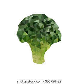 broccoli. polygonal graphics. vector illustration