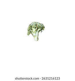 broccoli realistic 3d illustration icon detailed healthy eating vector