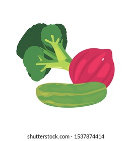 broccoli red onion cucumber fresh food vector illustration