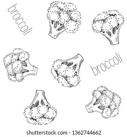 Broccoli. Seamless vector pattern. Hand drawing ink texture