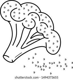 Broccoli seeds. Vector outline icon.