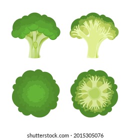 Broccoli set collection: sliced, whole, top view, bottom view, and front view. with flat simple cartoon style isolated on white background