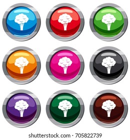Broccoli set icon isolated on white. 9 icon collection vector illustration