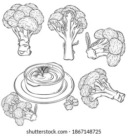 Broccoli set and a plate of soup. Hand drawn vector illustration with black outline isolated on white background. Collection of fresh vegetables. Applicable for restaurant menu, coloring book, print.