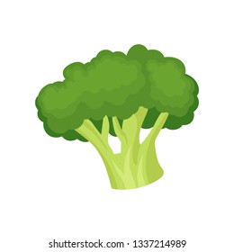Broccoli set. Vegetarianism and organic food concept.