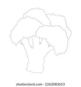 Broccoli side view linear image circled, head of cabbage plant, small green tree. Isolated picture on a white background.