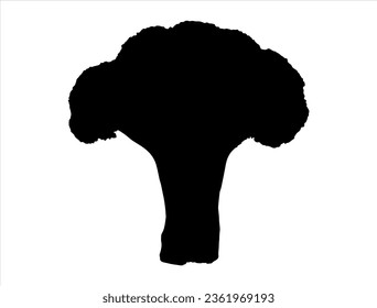 Broccoli silhouette vector art white background