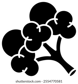 Broccoli silhouette vector isolated on a white background.