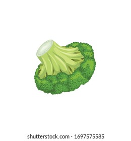 Broccoli single in cartoon style. Fresh farm vegetable. Eco and healthy product. Vector illustration isolated on white background.