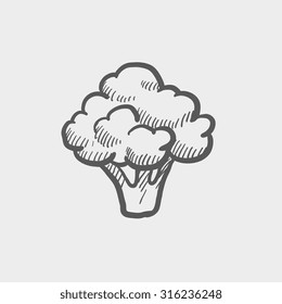 Icono de boceto de brócoli para web, móvil e infografía. Icono de gris oscuro vector dibujado a mano aislado en fondo gris claro.