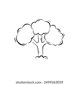 Broccoli sketch. Simple vector illustration in doodle style