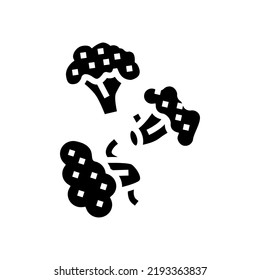 broccoli slice food cut glyph icon vector. broccoli slice food cut sign. isolated symbol illustration