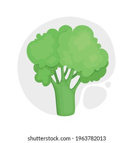 Broccoli with stalks and tops. Composition with brocoli with lush heads and stems. Cartoon realistic style. Fresh healthy vegetarian food. Drawn vector illustration of veggies isolated on white.