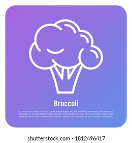 Broccoli thin line icon. Healthy vegan food. Ingredient for salad. Vector illustration.