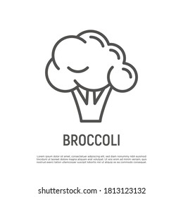 Broccoli thin line icon. Healthy vegan food. Ingredient for salad. Vector illustration.