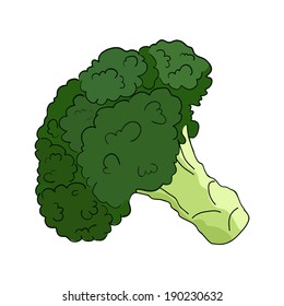 Broccoli in vector