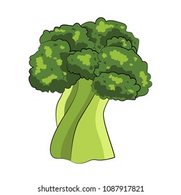 broccoli vector design illustration