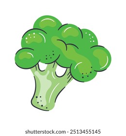 Broccoli vector design, isolated on white background, iron rich vegetable