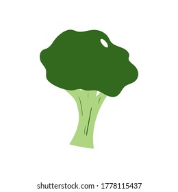 broccoli vector design template illustration