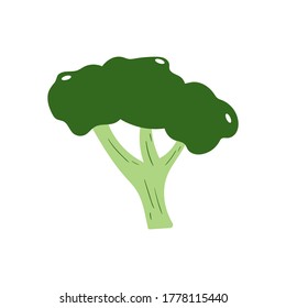 broccoli vector design template illustration