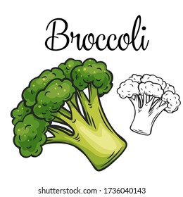 Broccoli vector drawing icon. Vegetable in retro style, outline illustration of farm product for design advertising products shop or market.