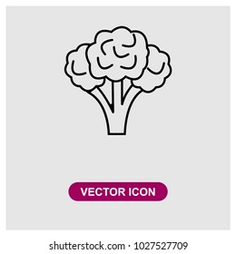 Broccoli Vector Icon