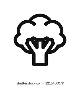 Broccoli vector icon