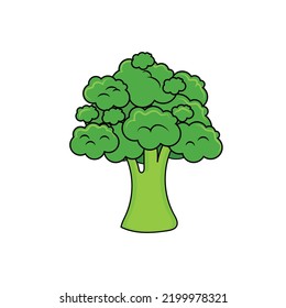 Broccoli vector icon. Cartoon vector icon isolated on white background broccoli. Farming and healthy life element. Vegetable vector