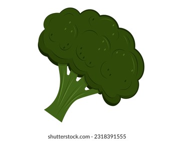 Broccoli vector icon isolated on white background. Vegetable fresh, farm healthy food.