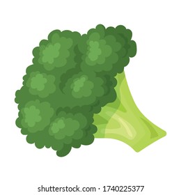 Broccoli vector icon.Cartoon vector icon isolated on white background broccoli.