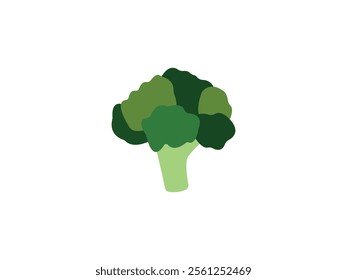 Broccoli vector icon.Cartoon vector icon isolated on white background broccoli.