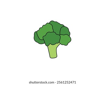 Broccoli vector icon.Cartoon vector icon isolated on white background broccoli.