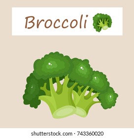 broccoli vector illustration