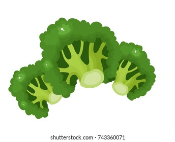 broccoli vector illustration