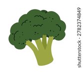 Broccoli vector illustration fresh green vegetable. Raw organic agriculture food plant head with stalks line art design. Healthy diet ingredient simple graphic element isolated