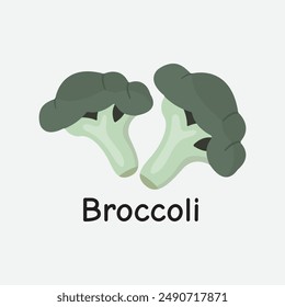 Broccoli Vector Illustration for Healthy Eating