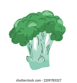 Broccoli Vector Illustration icon isolated on white