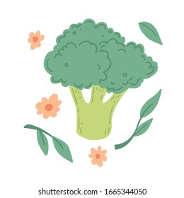 Broccoli vector illustration isolated. Concept of healthy food, vegetable. Broccoli have abstract, cartoon, hand drawn style.