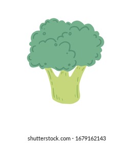 Ilustración vectorial de brócoli aislada. Concepto de comida sana, verdura. Los brócoli tienen un estilo abstracto, dibujado a mano.