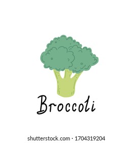 Broccoli vector illustration isolated. Concept of healthy food, vegetable. Broccoli have abstract, cartoon, hand drawn style.