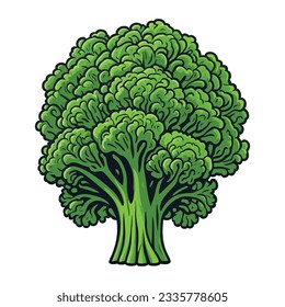 Ilustración vectorial de brócoli aislada en fondo blanco